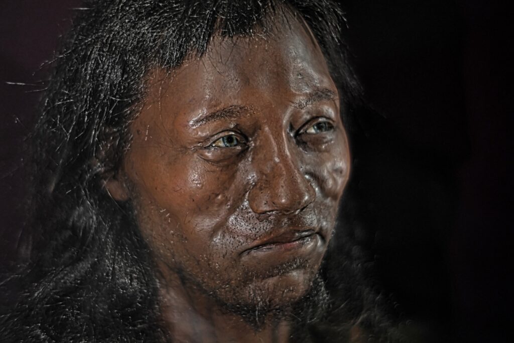 Cheddar Man reconstruction. Attribution:
Werner Ustorf, CC BY-SA 2.0 <https://creativecommons.org/licenses/by-sa/2.0>, via Wikimedia Commons